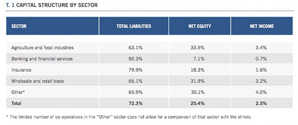 World Cooperative Monitor figures on capital structure by sector (Graphic: World Cooperative Monitor)