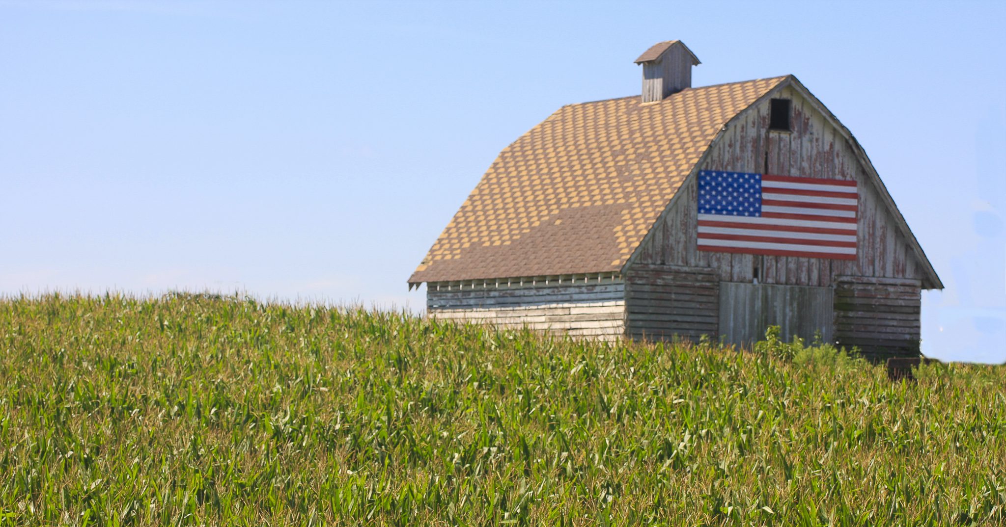 Us Co-ops Join List Of 600 Organisations Opposing Donald Trump's Rural 